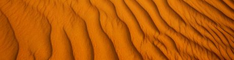 Ambience Desert Ambience Desert