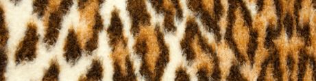Ambience Leopard Ambience Leopard